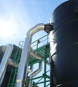 shutterstock_1194039685_sylv1rob1_500x560