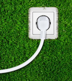 shutterstock_176560250_stockphoto-graf-500x560px