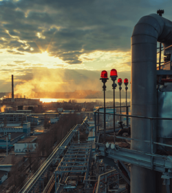 shutterstock_242575030_muph_500x560px