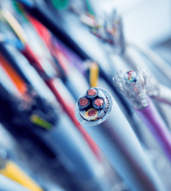 shutterstock_366748484_Roman_Zaiets_500x560px