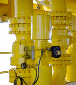 shutterstock_504426766_udorn_1976_500x560px