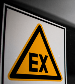 shutterstock_731152045_Rico Reijenga_500x560px