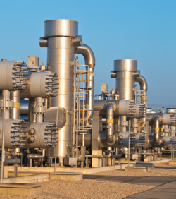 shutterstock_89282038_Rudmer Zwerver-500x560px