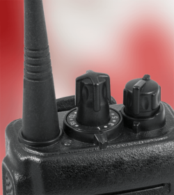 shutterstock_170680526_CAN_a_v_d_photostockimage_500px