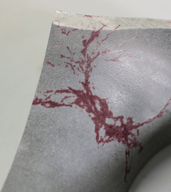 shutterstock_1271564731_HighSimple_500px