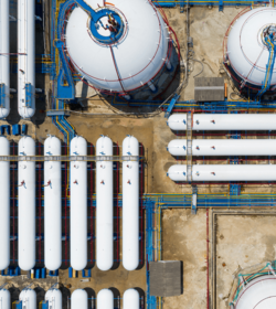 shutterstock_1727384629_Avigator Fortuner_500px