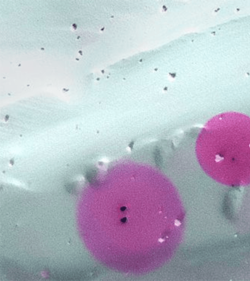 tpa-kks-tuv-austria-druckgeraete-druckbehaelter-500px