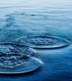 Round,Droplets,Of,Water,Over,Circles,On,The,Pool,Water.