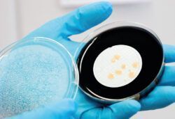 Legionellenpruefung-im-Labor-picturedesk-caro-optimiert