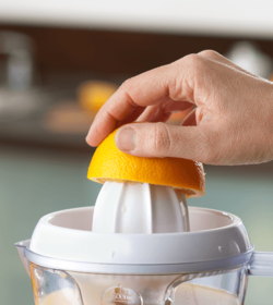 Fotolia_29745758_XXL_GG-Lattek_500x560px