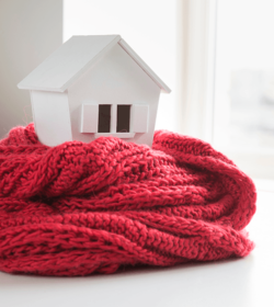 shutterstock_1181558434_Kishivan_500x560px