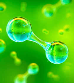 shutterstock_1938738706_Corona Borealis Studio_500x560px