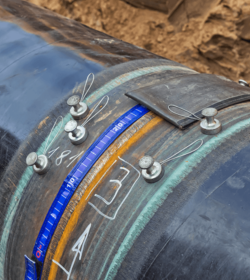 shutterstock_401909275-shinobi-500x560px