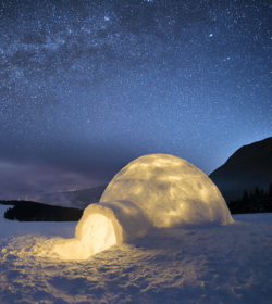 shutterstock_496337095_Kotenko-Oleksandr_500x560px