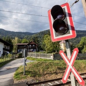 shutterstock_2105564462_1000x1000_BalkansCat